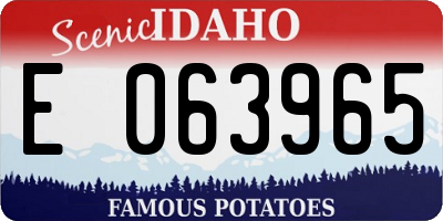 ID license plate E063965