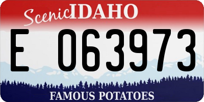 ID license plate E063973