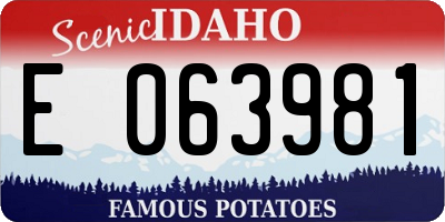 ID license plate E063981