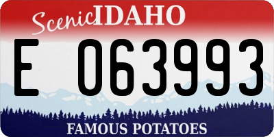 ID license plate E063993