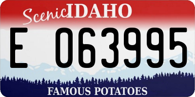 ID license plate E063995