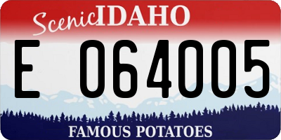 ID license plate E064005