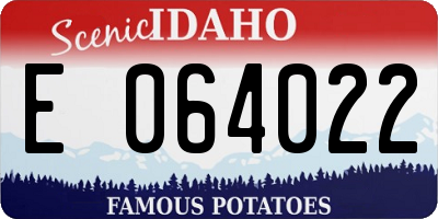 ID license plate E064022