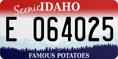 ID license plate E064025