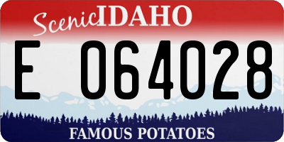ID license plate E064028