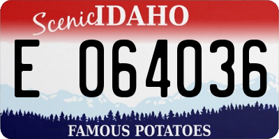 ID license plate E064036