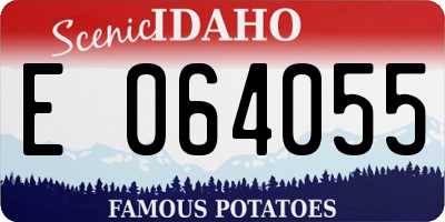ID license plate E064055