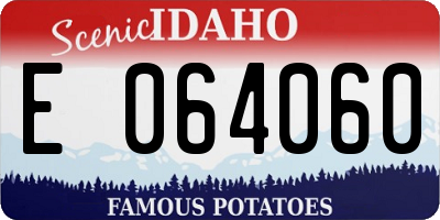 ID license plate E064060