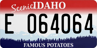 ID license plate E064064
