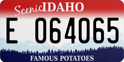 ID license plate E064065