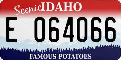 ID license plate E064066
