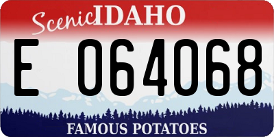 ID license plate E064068