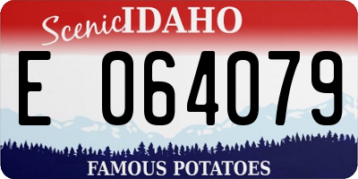 ID license plate E064079