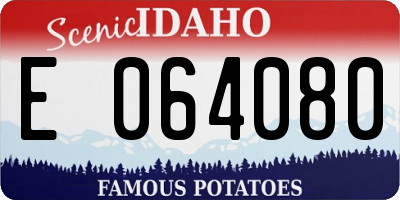 ID license plate E064080