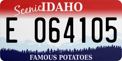 ID license plate E064105