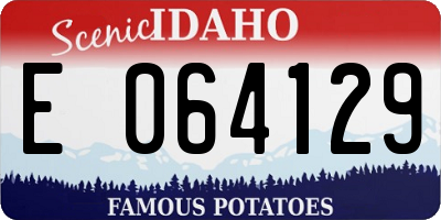 ID license plate E064129