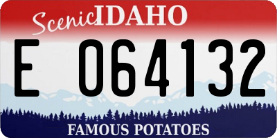 ID license plate E064132