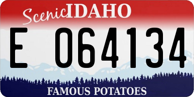 ID license plate E064134