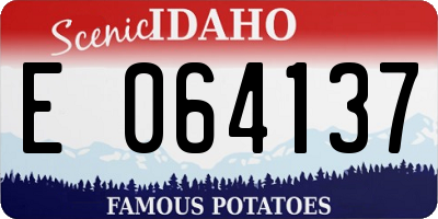 ID license plate E064137