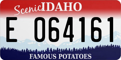 ID license plate E064161