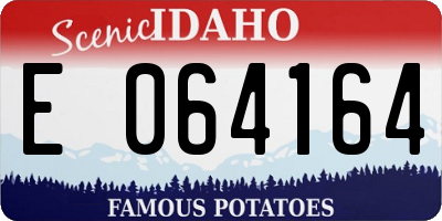ID license plate E064164