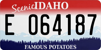 ID license plate E064187