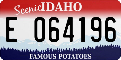 ID license plate E064196