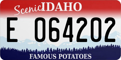 ID license plate E064202