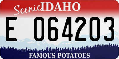 ID license plate E064203