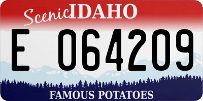 ID license plate E064209