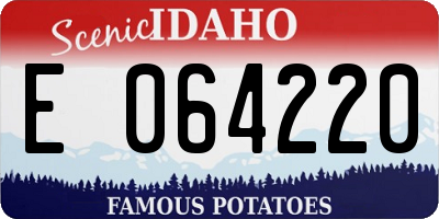 ID license plate E064220