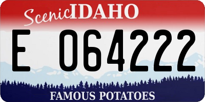 ID license plate E064222