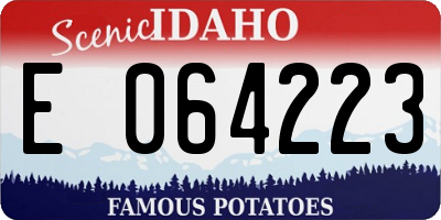 ID license plate E064223