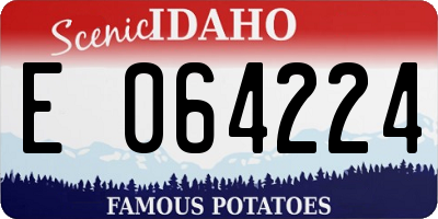 ID license plate E064224