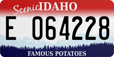 ID license plate E064228