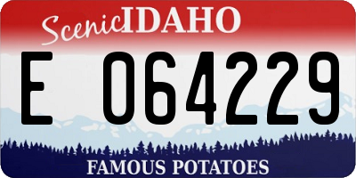 ID license plate E064229