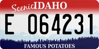 ID license plate E064231