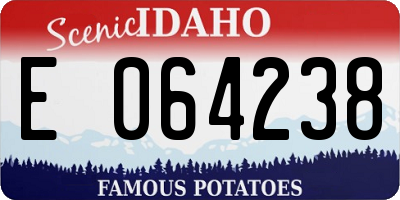 ID license plate E064238