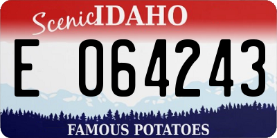 ID license plate E064243