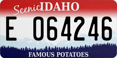 ID license plate E064246