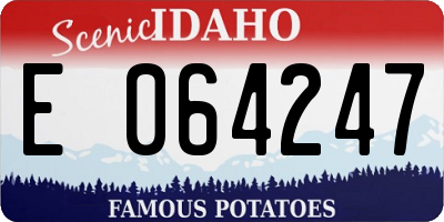 ID license plate E064247