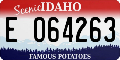 ID license plate E064263