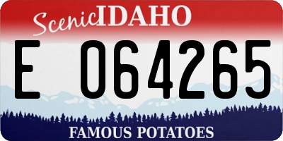 ID license plate E064265