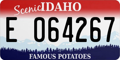 ID license plate E064267