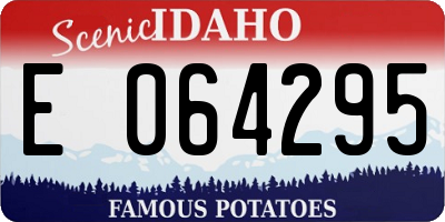 ID license plate E064295