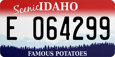 ID license plate E064299