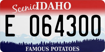 ID license plate E064300