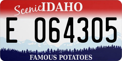 ID license plate E064305