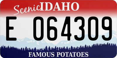 ID license plate E064309