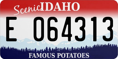 ID license plate E064313